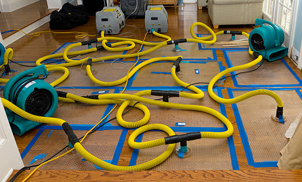 Professional Crawl Space Water Removal technician working in Babbitt, MN